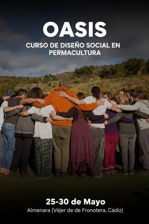 oasis cartel